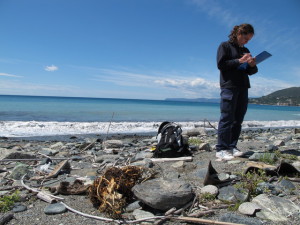 Sopralluoghi sulle spiagge